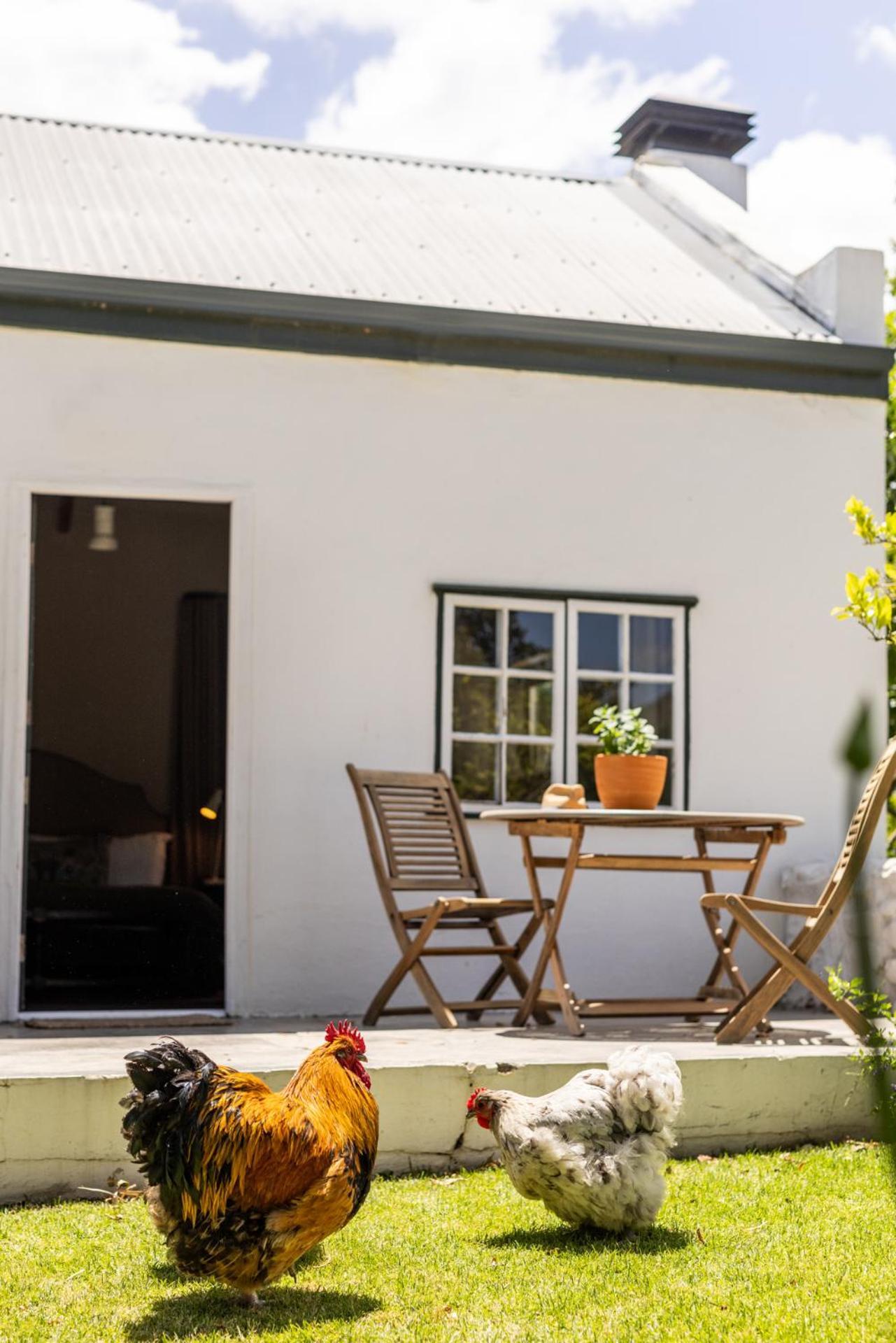 Eikehof Farm Apartment Worcester Bagian luar foto